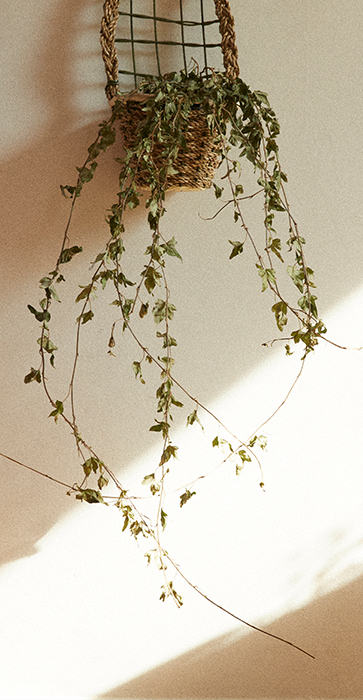 이미지명